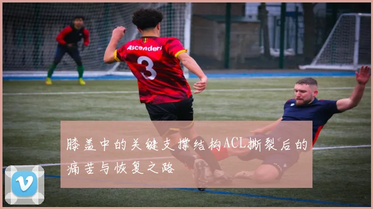 膝盖中的关键支撑结构ACL撕裂后的痛苦与恢复之路